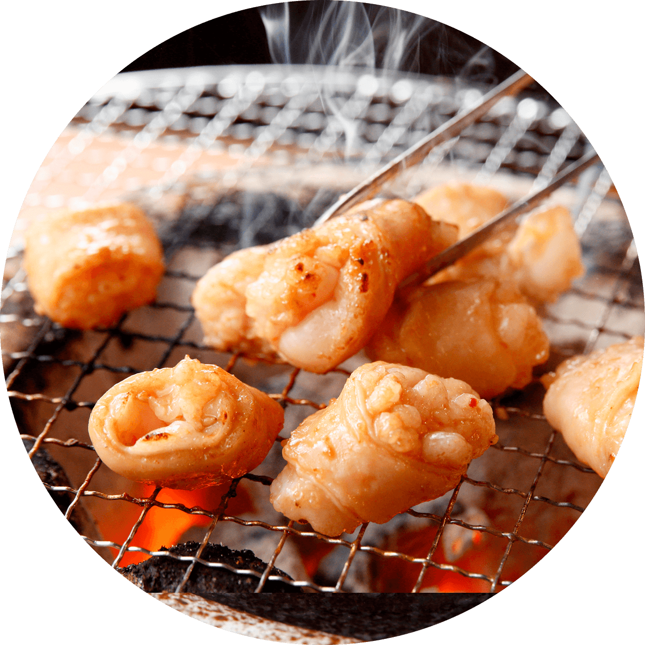 シロマルの画像